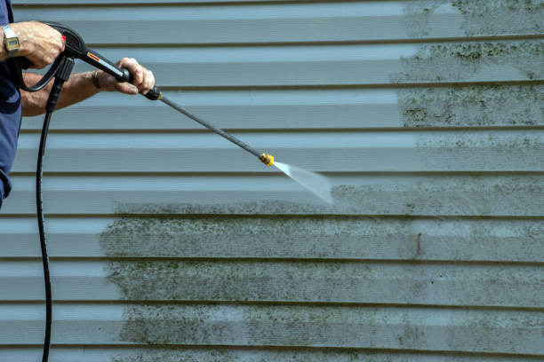 Best Gutter Cleaning and Brightening in Jamesport, NY