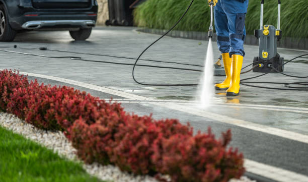 Best Vinyl Siding Pressure Washing in Jamesport, NY